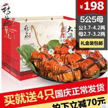 送4只阳澄湖秋正肥大闸蟹现货礼盒螃蟹公4.2-3.7 母3.2-2.7共10只