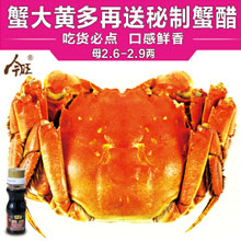 阳澄湖今旺大闸蟹现货2.6-2.9两8只礼盒送2只可发全母蟹鲜活螃蟹