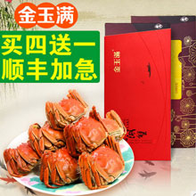 阳澄湖大闸蟹礼券 金玉满牌1088型螃蟹劵 8只装礼卡提货券团购