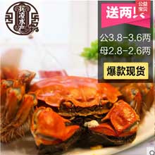 现货送2只兵凌太湖大闸蟹公螃蟹3.8-3.6母2.8-2.6两8只鲜活礼盒装